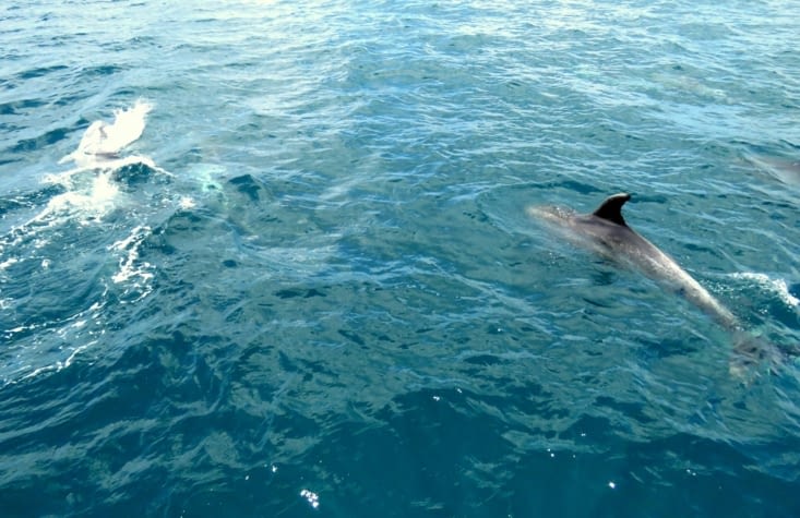 A l approche du Hole in the Rock, nous nous préparons á plonger