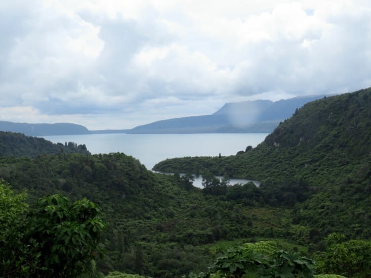 Rotorua, région de lacs, cascades et forêts