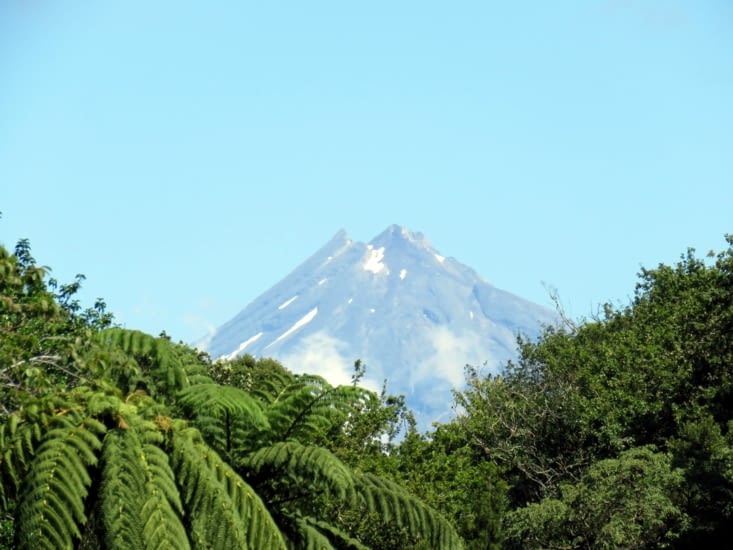 Le volcan, depuis le Pukekura park