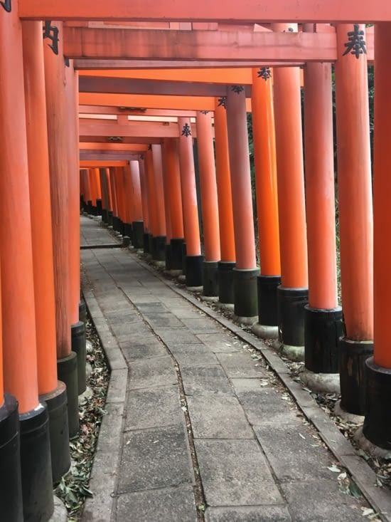 Les fameuses Torii gates