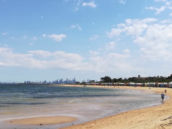 Brighton beach et ses cabanes colorées