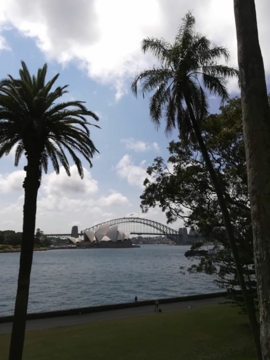 Depuis le jardin Botanique