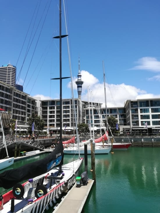 Auckland harbour