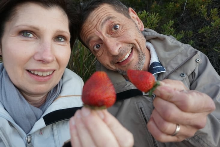 Selfie "fraises de Noël"