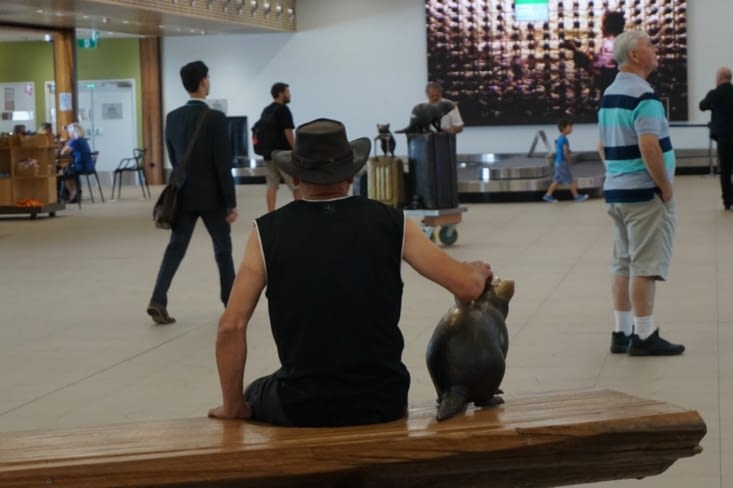 Voilà un nouvel ami !