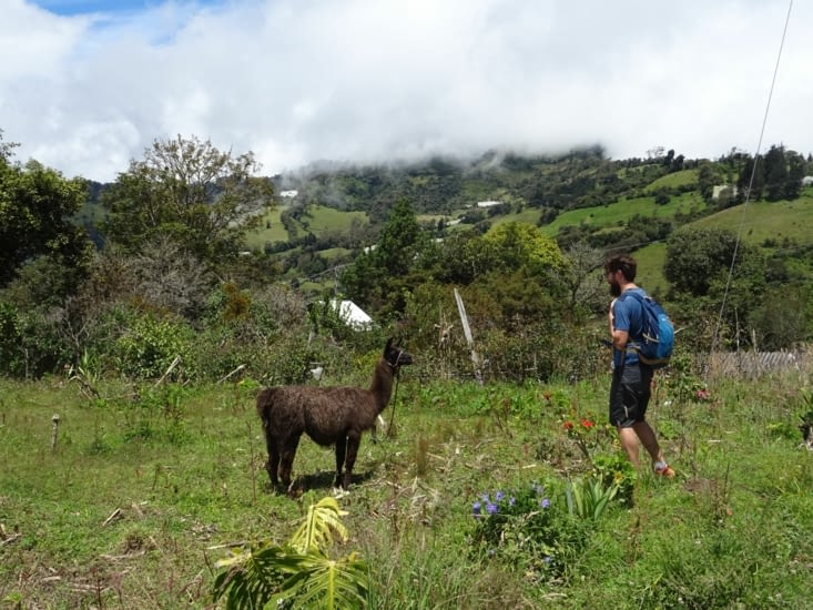 Pierre tente une approche de Serge