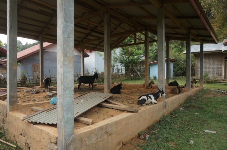 Une école en construction (pour chèvres?)