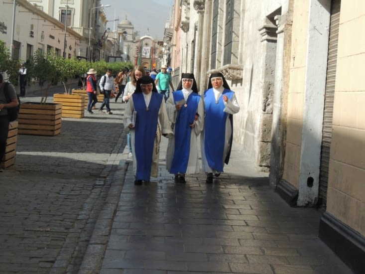 Le bleu leur va si bien !