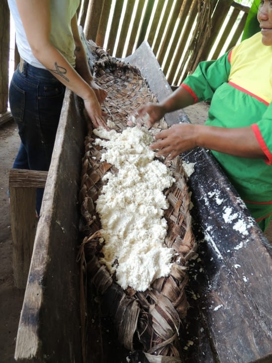 Le manioc vient d'être râpé après avoir été épluché et lavé.