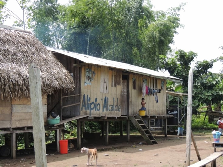 Une journée dans une communauté