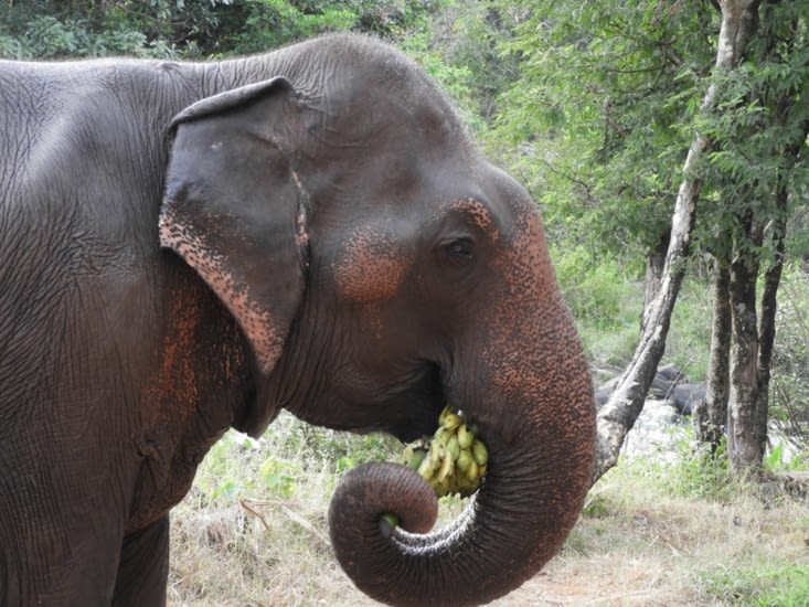 A Tad Lo je me régale