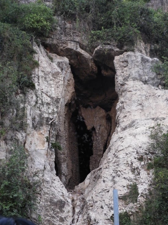 Nous finissons la journée par l'envol des chauves souris
