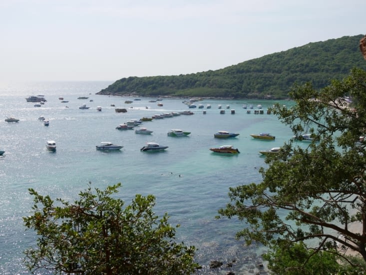 Vue des hauteurs, comme les singes