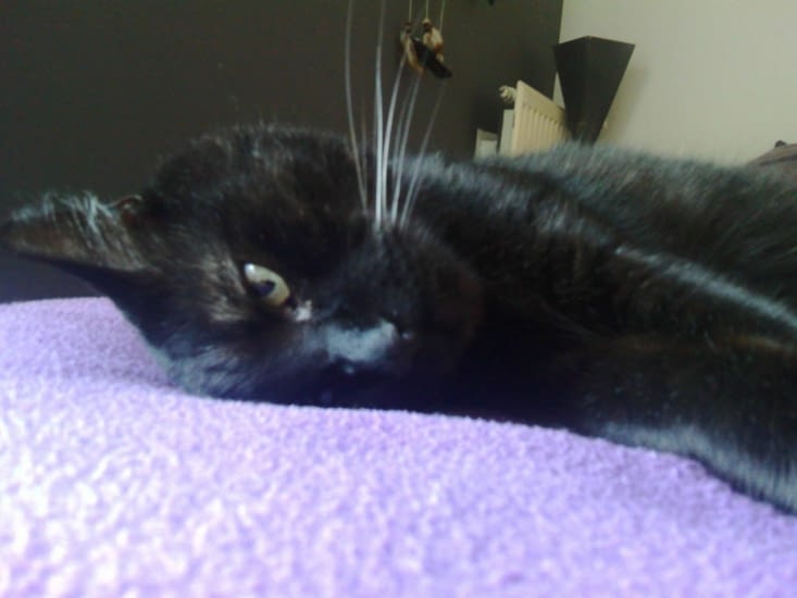 Confier Mimi à Tata Jo