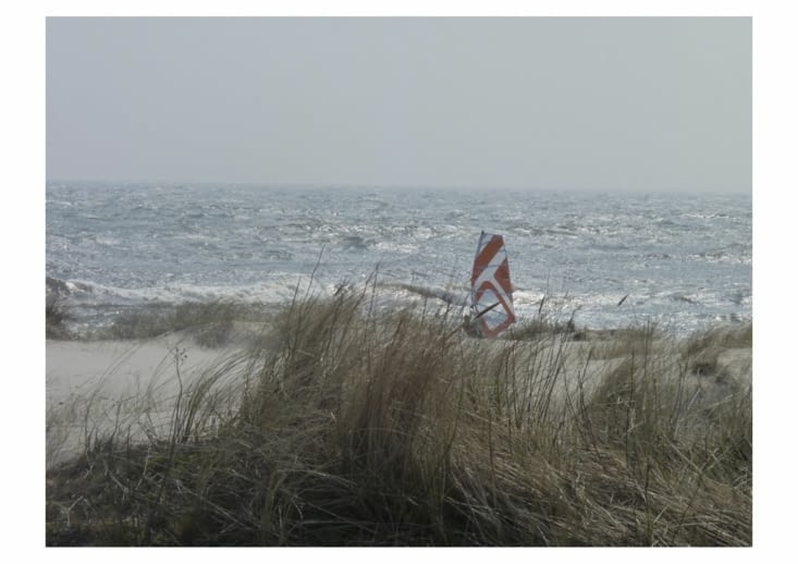 Mik sur sa planche sous le soleil.