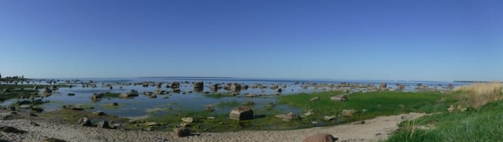vue sur l'anse de Tallinn