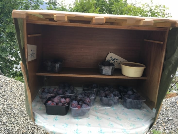 Des prunes, vente directe producteur