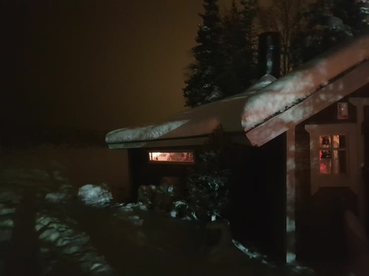 Un kota en pleine nuit