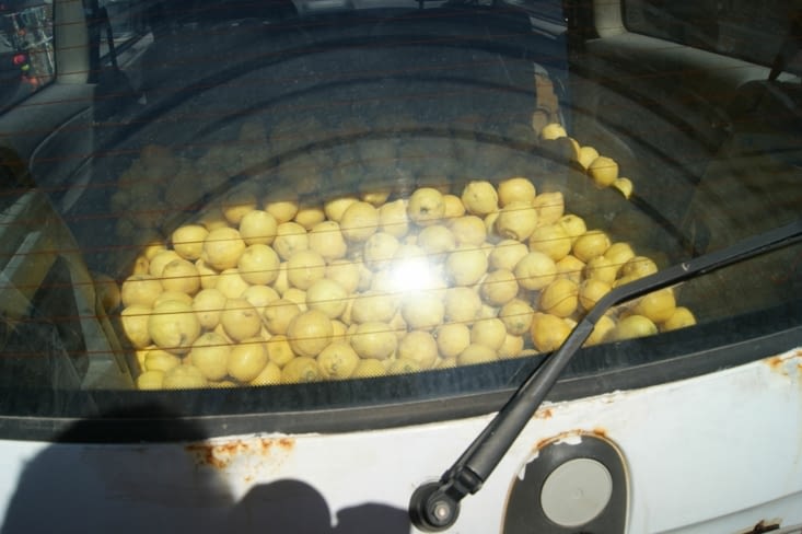 stock de citrons