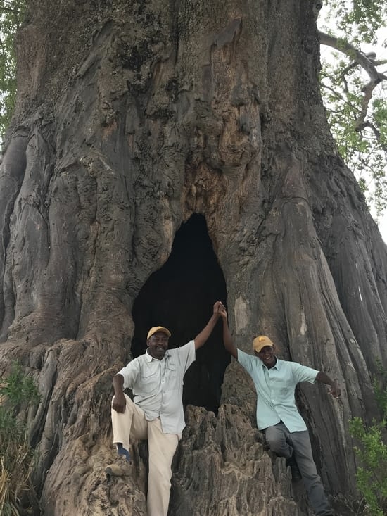Mandela et Seki aux pieds du baobab géant
