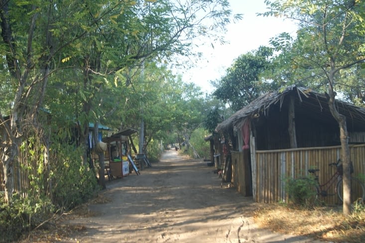 les chemins de l'île