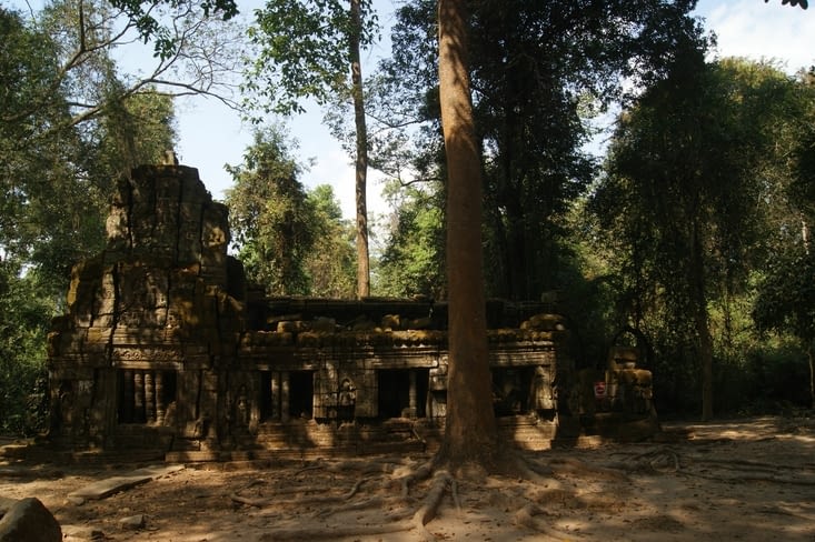 perdu dans la jungle