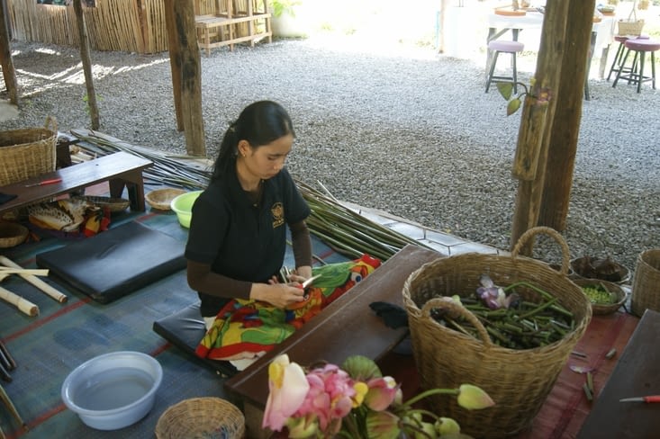 preparation des fibres
