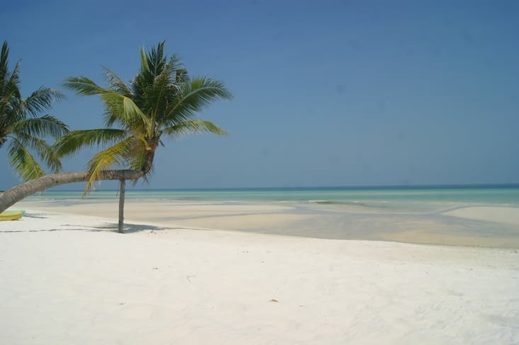 derniere miette de paradis