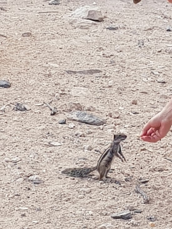 Rencontre avec un autochtone