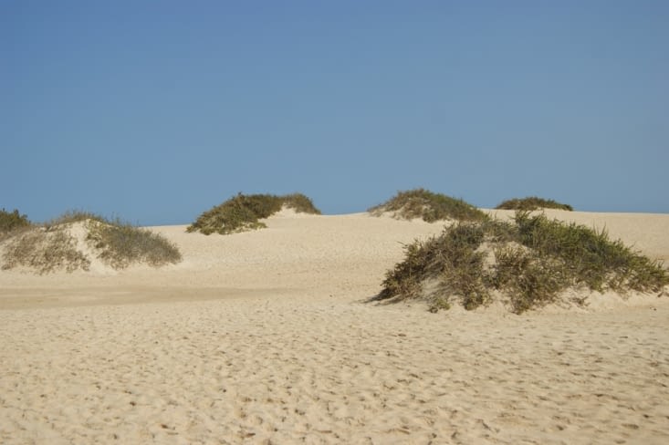 Parc des dunes
