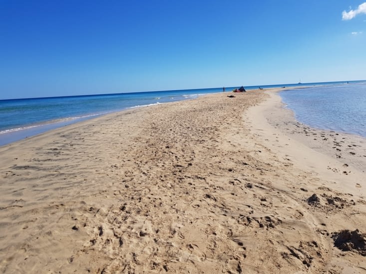 La plage comme une île dans l'île