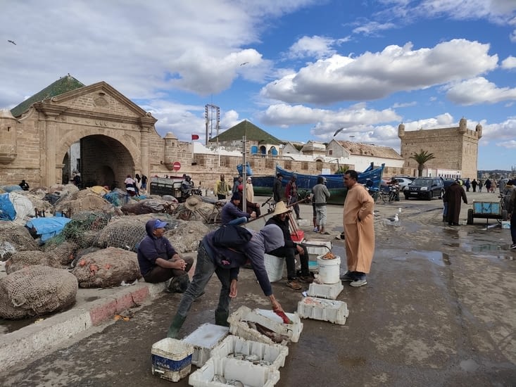 Marché aux poissons