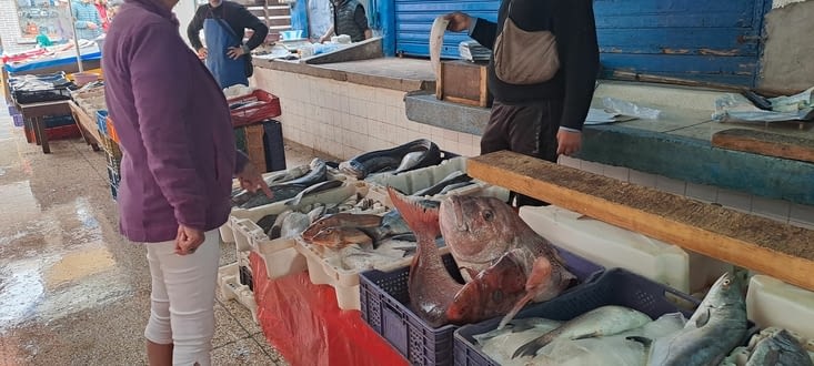 Sidi Ifni son marché aux poussons