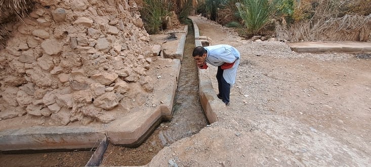 Irrigation de la Palmeraie