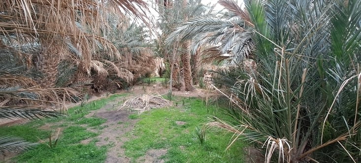 Jardin de Hussan
