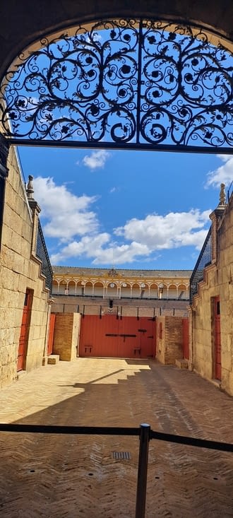 Entrée dans l’arène