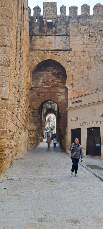 Alcazar de la Poerta de Sévilla