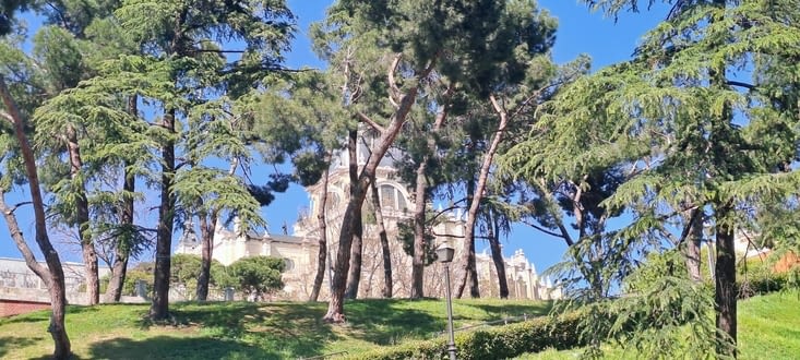 Jardins donnant sous le Palais Royal