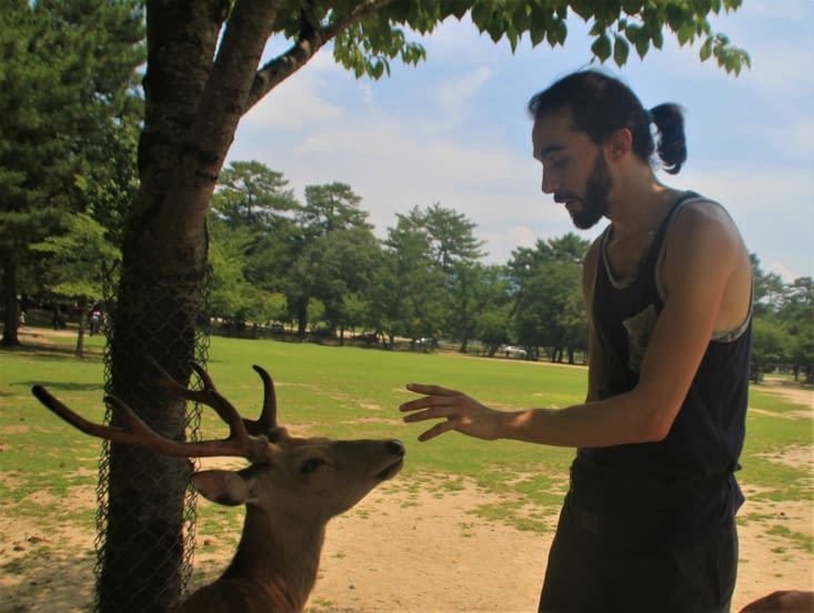 Hypnotyzing the deer in Nara