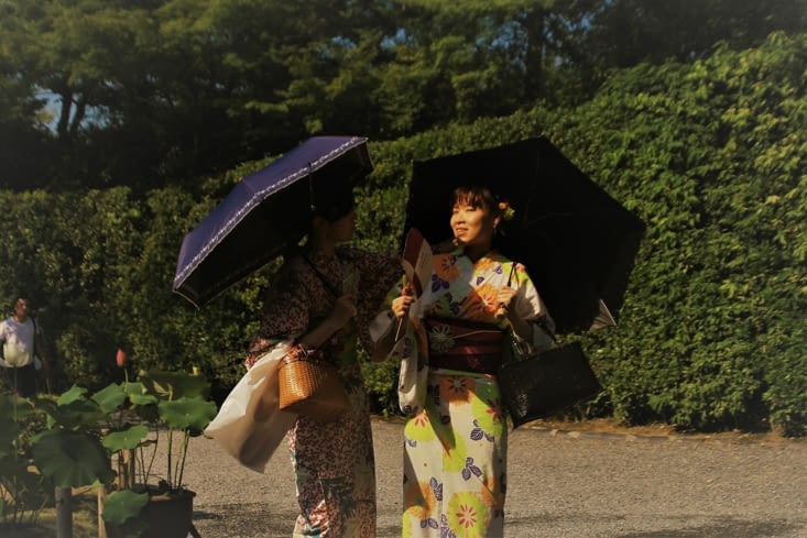 Traditional Yukata
