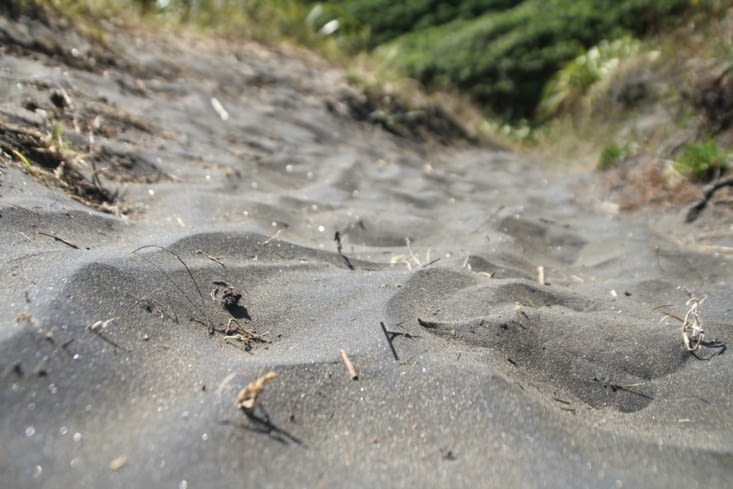 Black sand beach of volcanic activity