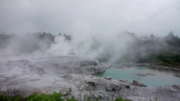 hot pools, boiling waters and mud pools