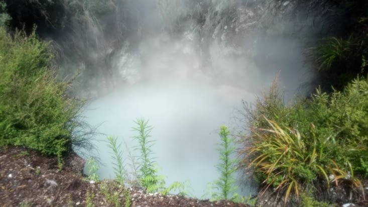 hot pools, boiling waters and mud pools