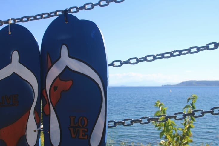 First day on the lake Taupo