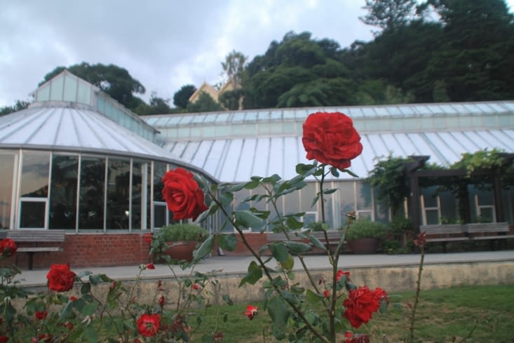 Botanic Gardens - Rose Gardens