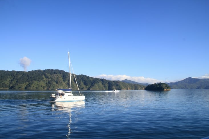Boat trip to the Marlborough Sounds