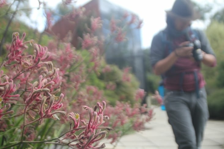 Botanic Gardens photo session