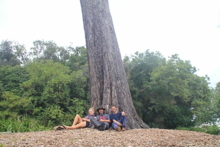 Frog (Germany), Austin (U.S)