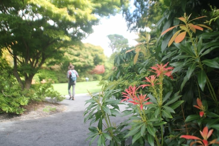 Botanic Gardens photo session