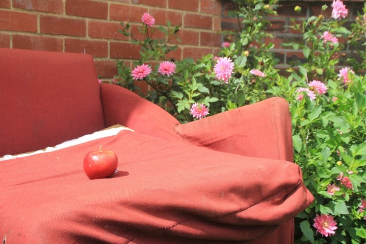 Otago University campus